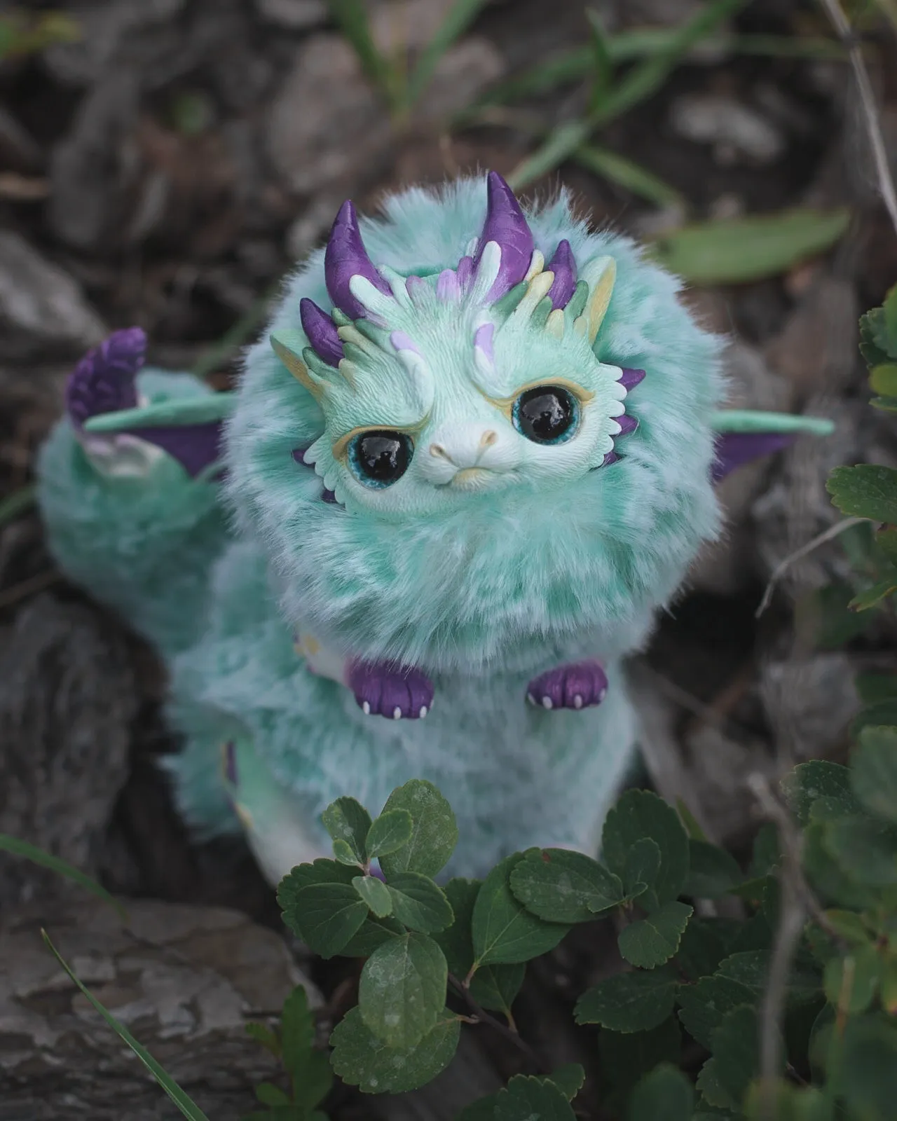Grumpy dragon