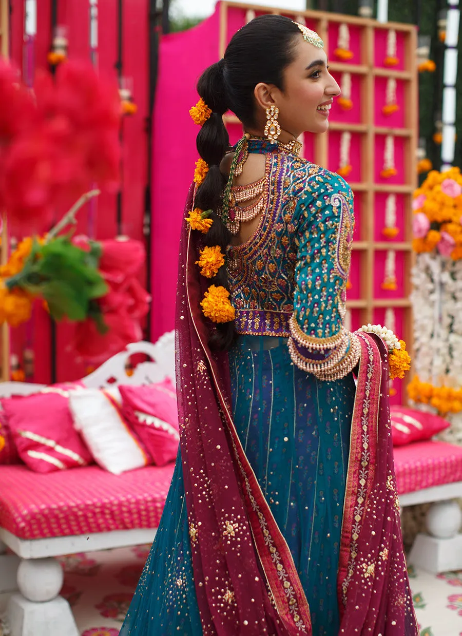 Neha Peacock Kalidaar