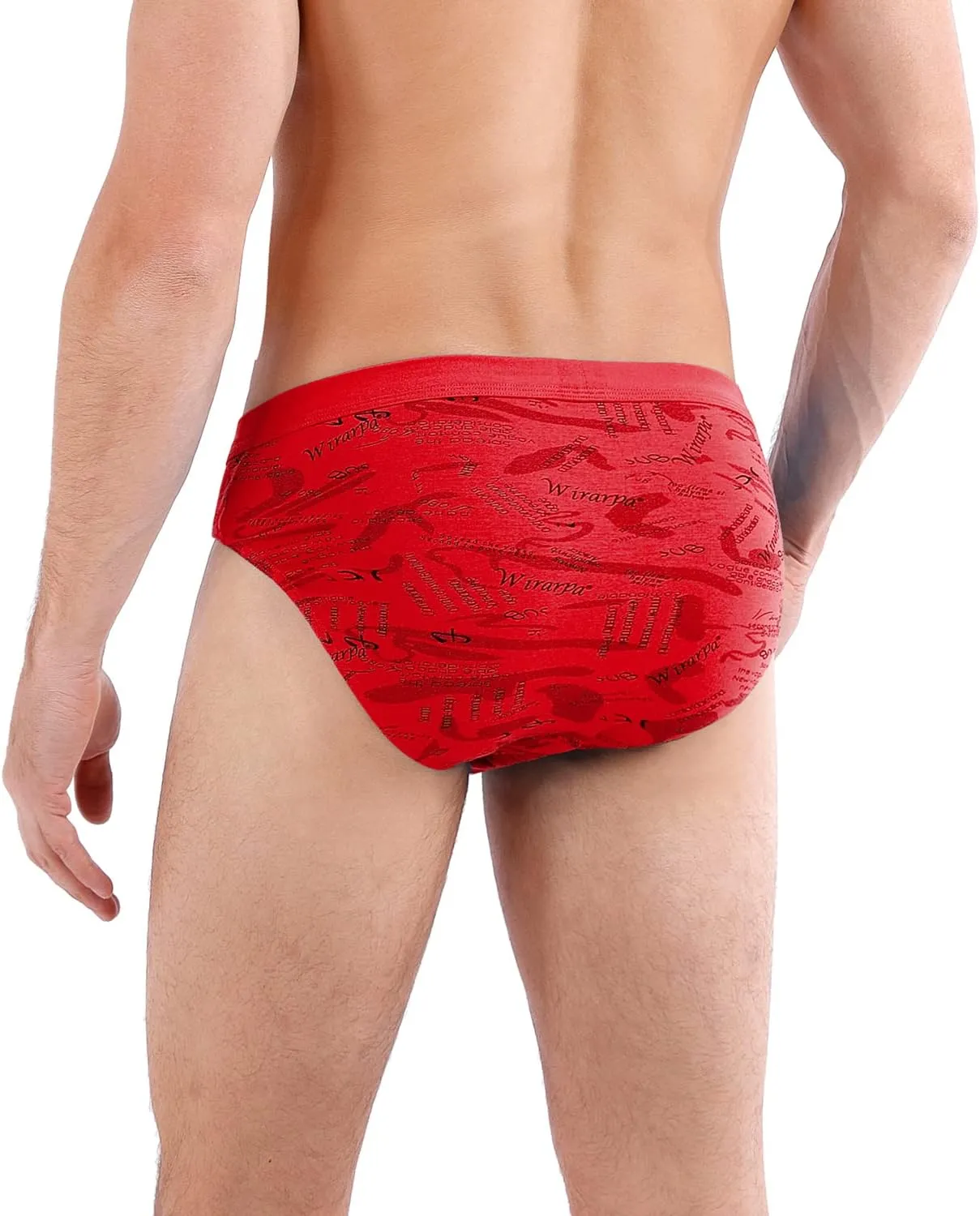 wirarpa Men's Underwear Modal Microfiber Briefs No Fly Covered Waistband Silky Touch Underpants 4 Pack